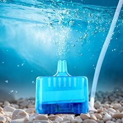 Image of VAYINATO Mini Bio Sponge Filter with Filter Media and Airstone (Airpump Not Included) Suitable for Betta and Small Fish Tank (Random Color) by Petzlifeworld