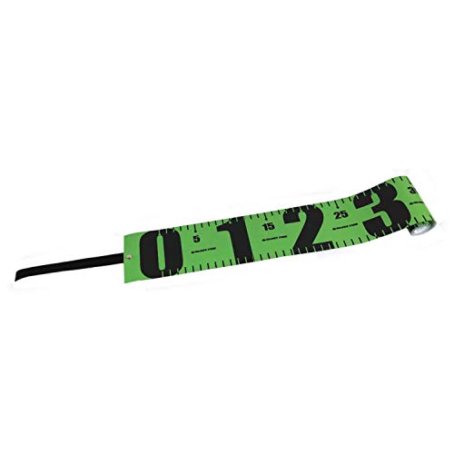 Báscula Compacta Glory Fish CS-001 Verde/Negro miniatura 1