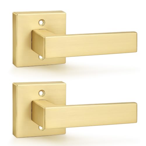 Probrico 2 Pack Half Dummy Non-Turning Door Handles, Gold Single Square Zinc Alloy Lever for Interior Doors(Exposed Screws)
