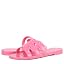 Flamingo Pink