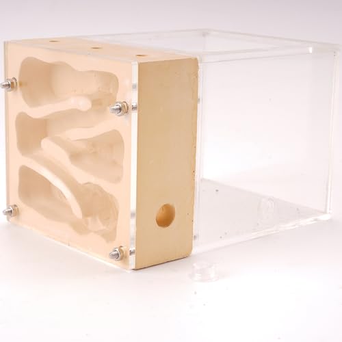 Rimsunta Ant Nest Farm Made with Gypsum for Adult for Living Queen Ant Colony Formicarium