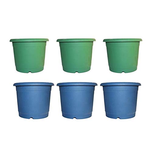 See full amazon price history chart for Synergy Plast Heavy Duty Plastic Round Shape Flower Pot, Pack of 6 (14 Inch, Blue and Green) Synergy Plast Heavy Duty Plastic Round Shape Flower Pot, Pack of 6 (14 Inch, Blue and Green) (B08261VY9C) Amazon Price History, Amazon Price Tracker