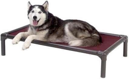 kuranda dog beds amazon