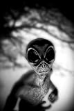 Alien Face Creepy Scary Face Black White Photo UFO Fantasy Spooky Scary Halloween Decorations Cool...