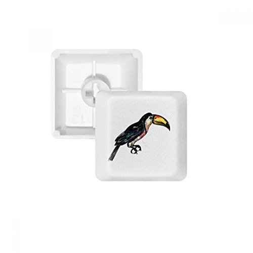 Keycaps PBT Toco Toucan Blanc OEM pour Personnaliser son Bureau