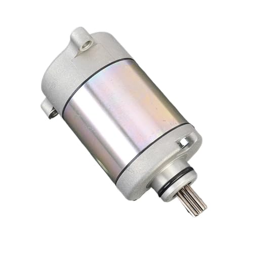 Démarreur de moteur de moto pour CF250 300NK 300SS pièce 0DM0-093000 de rechange