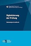 Digitalisierung der Prüfung: Datenanalyse im Aufbruch