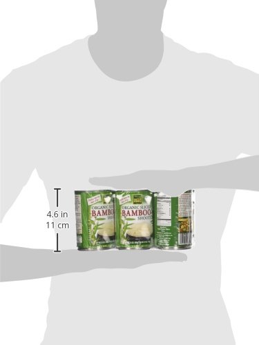 Native Forest Organic Sliced Bamboo Shoots, 14 Ounce Cans (Pack of 6) - Thumbnail 4