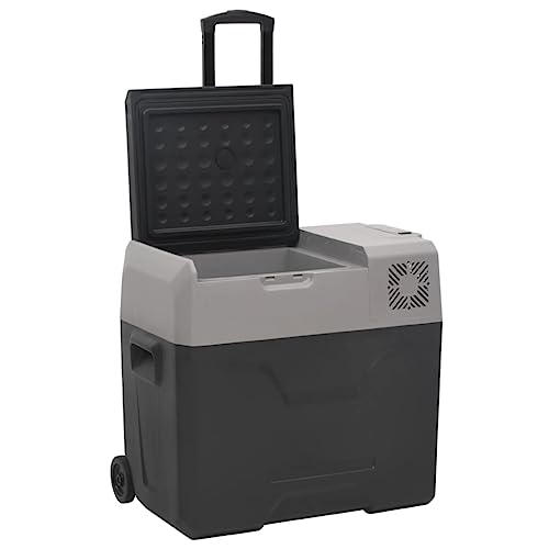 vidaXL Kühlbox mit Rollen und Adapter, Gefrierbox mit viel Platz für Getränke, Eisbox mit effizienter Kühlung, Kühlschrank Gefrierschrank Getränkekühler, Schwarz und Grau 40 L Polypropylen