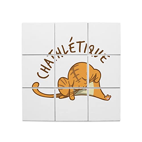 Carreaux Céramique Décoratif Chat Athlète - Solution Murs Vides Tableau Animaux