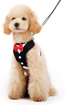 Dogo EasyGo Bowtie Harness - Medium