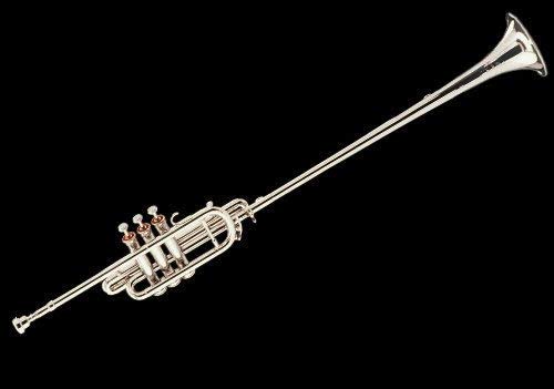 Sai Musical Flat Bb Flag/Coronation/Herald Trumpet Brass + Case + Mute +mp