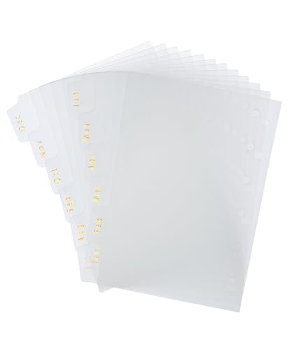 Mr. Pen- Monthly Dividers for Planner, 12pcs, 4.7'x3.1', Monthly Tabs for 6 Ring Binders, Month Tabs, Monthly Binder Dividers with Tabs 12 Months, 12 Tab Dividers