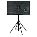 Gator Frameworks Deluxe Adjustable Quadpod LCD/LED TV Monitor Stand with Lift Piston, Fits Screens up to 65