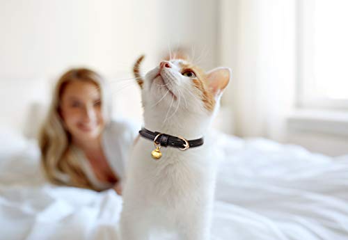 Jamktepat 3 Pack Leather Cat Collars with Bells Soft Pet Safety Collar Kitten Collars with Bell Black Chocolate Beige(S) - Image 7