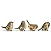 RAZ Imports Striped Wing Bird 2.5 x 2.25 inch Resin Decorative Tabletop Figurine Set of 4, Sage Green