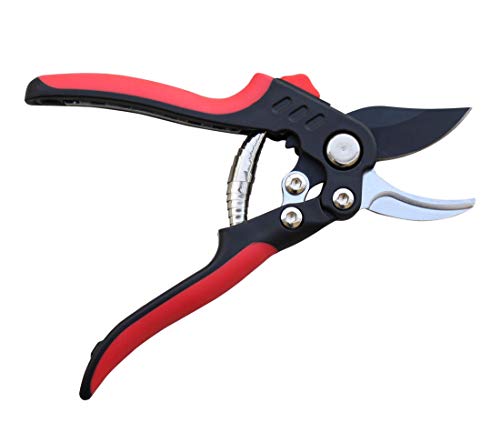 Image of TABOR TOOLS S851A Bypass Pruning Shears with Compound Action, High Carbon Steel Blades with 3 /4 Inch Cut Capacity, Professional Hand Pruner & Garden Secateurs for Easy Cutting, Safety Lock
