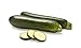 Organic Zucchini Squash, 1.5 lb