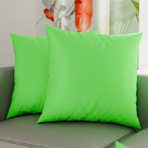 PETTI Artigiani Italiani - Lot de 2 Taies d'oreiller de Lit 30x30 cm, Housses de Coussin Unies...