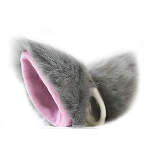 [Schicksal.]RXv L PF^Cv ˂ lR P    ǂԂ Aj} p[eB[ Cxg  G RX`[ s pb`s tt ӂӂ  lR~~ LN^[ F,5 