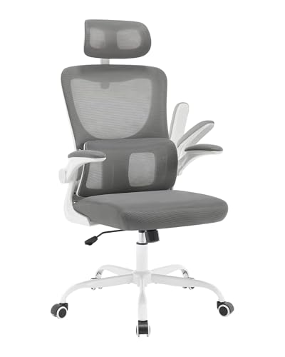 WOLTU Sillas Escritorio con Reposabrazos, Silla Escritorio Gris