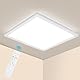 Epicflare Deckenlampe LED, LED Deckenleuchte Panel 42x42cm mit Fernbedienung, 22W Küchenlampe 2700K-6500K Deckenleuchten Badezimmer Lampe Warmweiß Kaltweiß für Büro Werkstatt Wohnzimmer (42CM)
