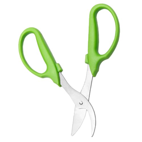 BESTonZON Cisailles de Jardin Outils de Coupe pour Fleurs et Plantes Sécateur Léger avec Lame Affûtée Poignées Antidérapantes pour Jardinage et Bonsaïs