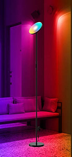 LJYKBFL Lampade da Terra, Lampada da Terra Uplight, Telecomando 24W LED Lampada da Terra Uplighter con Telecomando App, Lampada da Terra di Lettura con luminosità Continua per Soggiorno