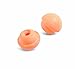 Howard Leight PerCap Earplug Replacement Pods - Box of 50