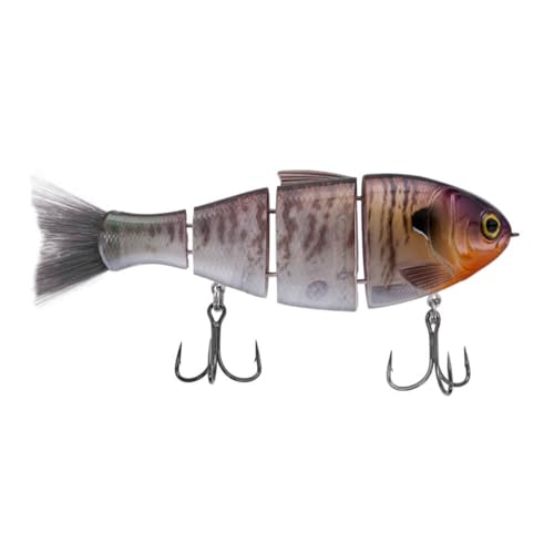 BUCCAuh BUCCA Bull SHAD - 5C` (1IX) - S[XgM