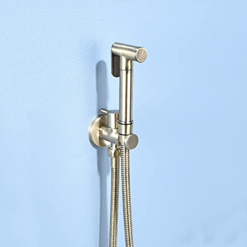 Douchette bidet toilette or en acier inoxydable haut de gamme avec flexible de surpression