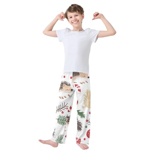 ZZXXB Hedgehog Candy Cane Boys Long Pants Soft Trousers Elastic Waist Kids Lounge Bottoms with Pockets S-XL2