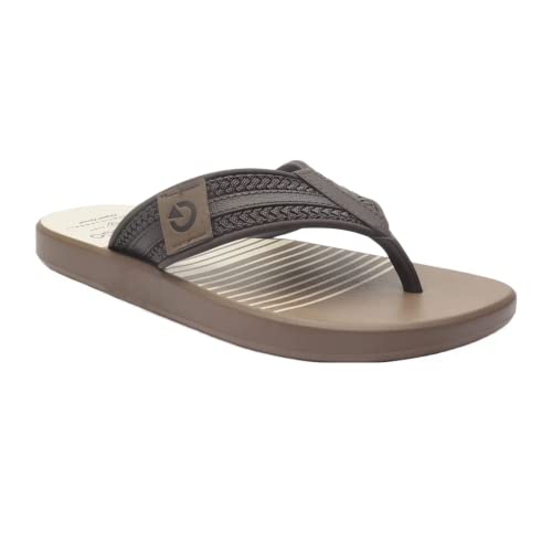 Chinelo, Istambul, Cartago, Masculino, Marrom, 40