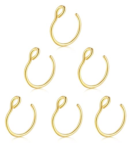 Fake Nose Rings,Faux Piercing Jewelry 20G 8mm Fake Nose Ring Hoop for Faux Lip Septum Nose Ring Set