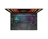 MSI Cyborg 17 B2RWFKG-067US (CYBORG17B2067) technical specifications