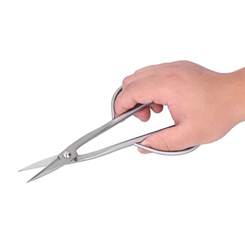 Zerodis Conjunto de ferramentas de bonsai, cortador côncavo, tesoura de poda incisiva para flores pa