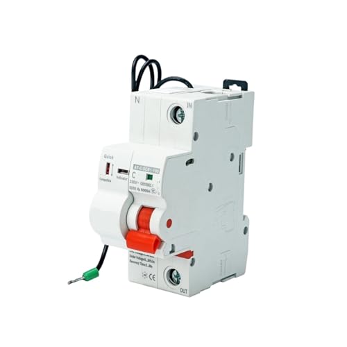 Disjoncteur 1P 100A pour stopper le gaspillage d'énergie via minuterie automatique