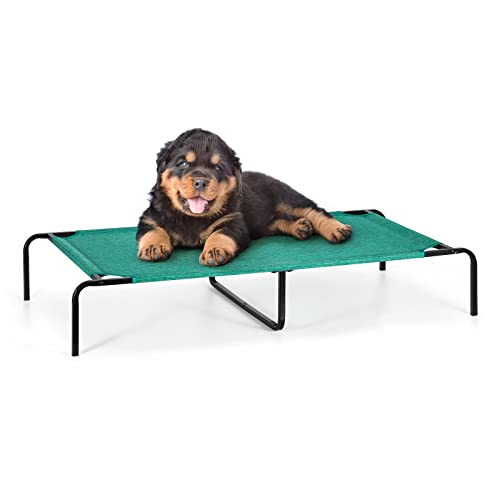 Top 10 Best Mesh Dog Bed [Experts 2023 Reviews]