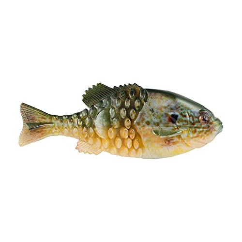Berkley Powerbait Gilly leurre souple de pêche idéal pour vos sorties dominicales en lac