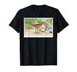 Wildlife Animals & Nature Artwork