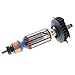 DEWALT N378184 Armature Assembly