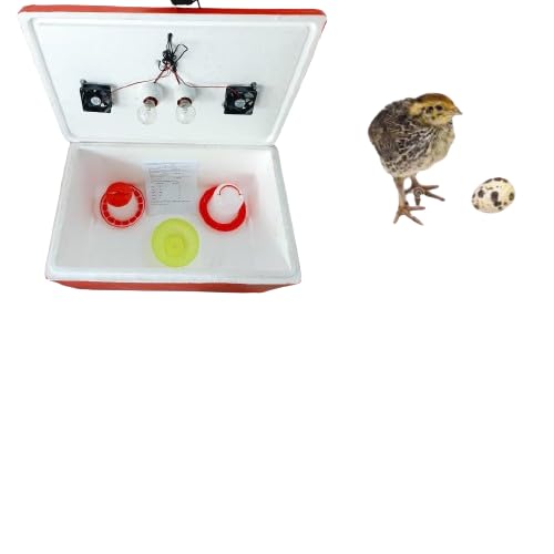HUMBE&CO EPS Material semi Automatic Egg Hatching Incubator Egg Incubator 1 Drinker 1 Feeder-image-2