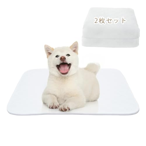 [NyonikoijjRj] 􂦂ybgV[c z }bg  ybg}bg Rh~ ybgppbh ld\ gC~}bg ~ V[g h ݑϐ ^ ^ ^ L p p   lG