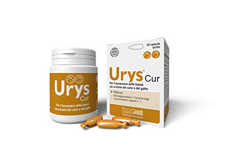 Innovet Urys® Cur 30 capsule, per le vie urinarie dei