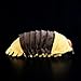 POPOTATO Realistic 12.9'' Sowbugs Stuffed Animal - Large Pill Bugs Insect Plush Pillow Birthday Gifts