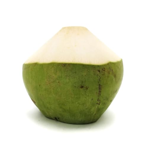 Zenxin Organic Coconut 800g
