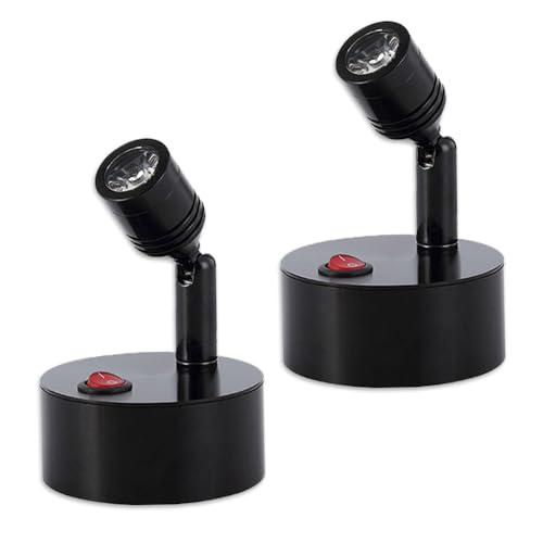 Nicheez X|bgCg dr LED Hsv 2Zbg px RNV W Ɩ X fBXvC V[P[Xp (ubN)