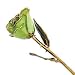 Allmygold Jewelers Peridot Long Stem Dipped 24K Gold Trim Genuine Rose in Gift Box