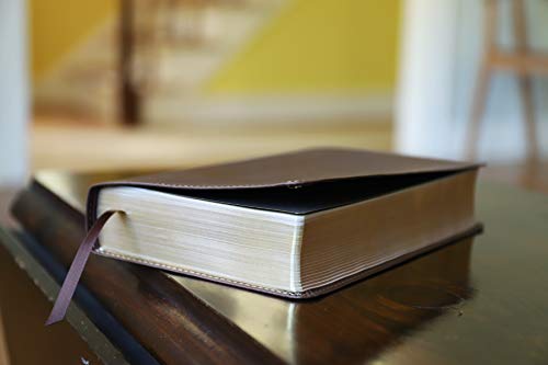 Image of NIV, Foundation Study Bible, Leathersoft, Brown, Red Letter