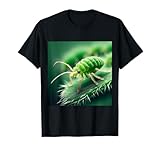 Clever Witty Aphid Designs